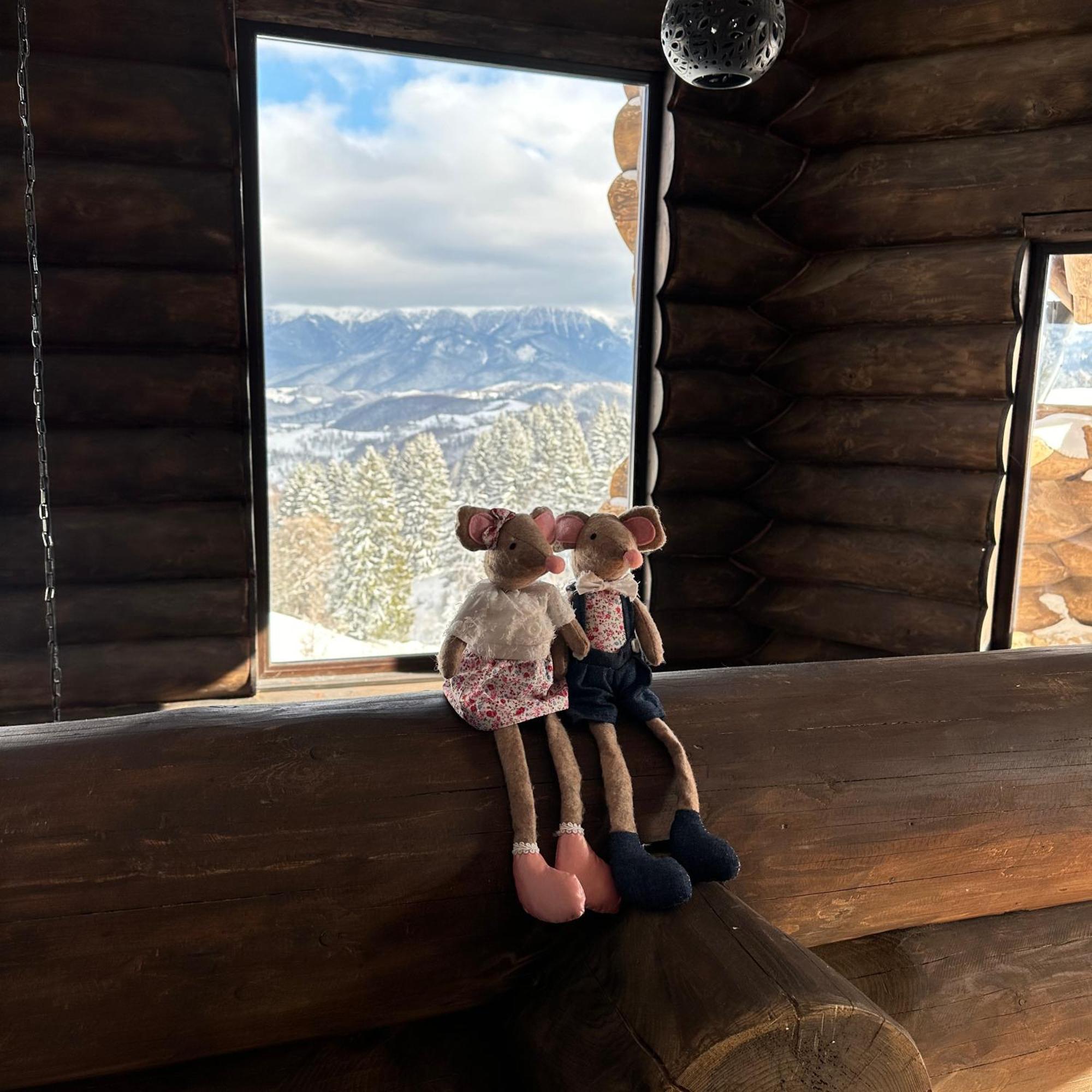 Willa The Barn Şirnea Zewnętrze zdjęcie